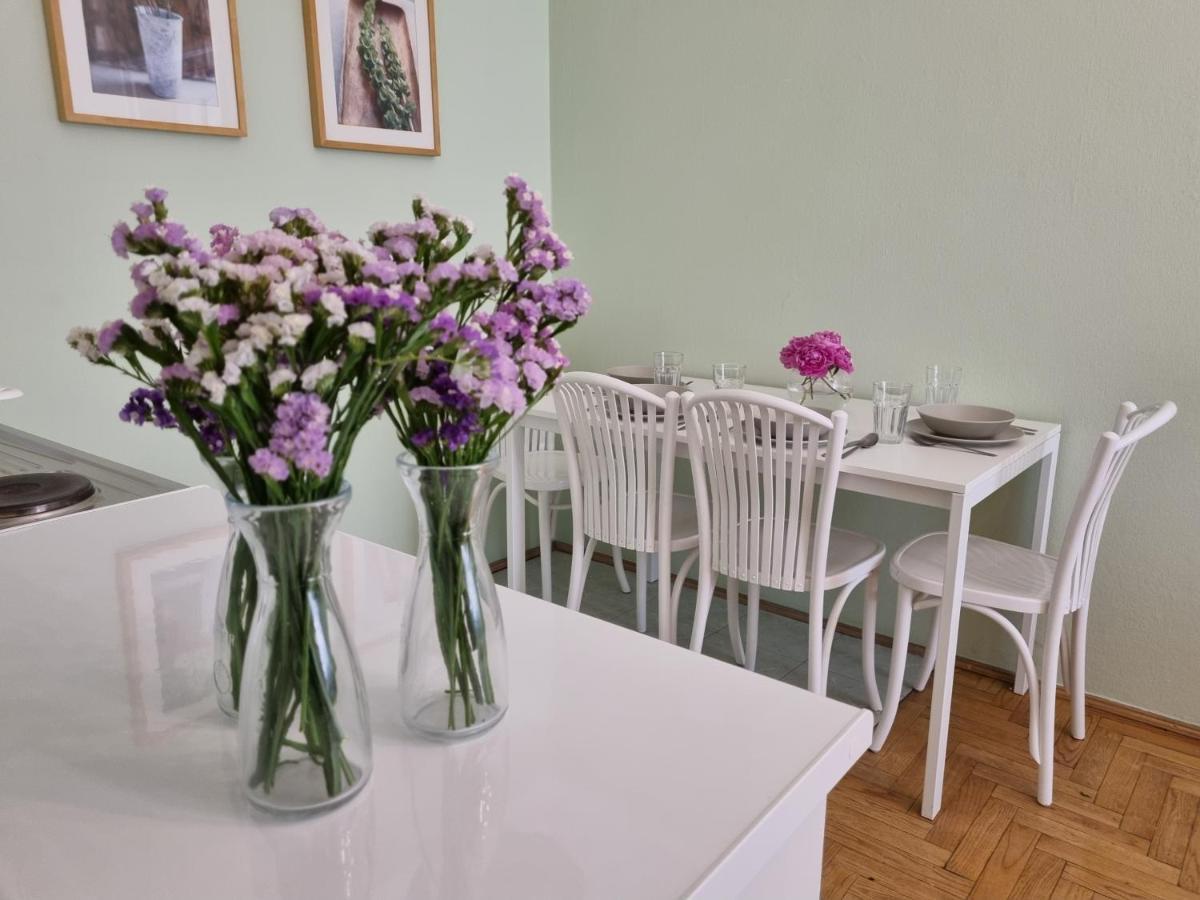 St. Mark Apartment Kraków Zewnętrze zdjęcie